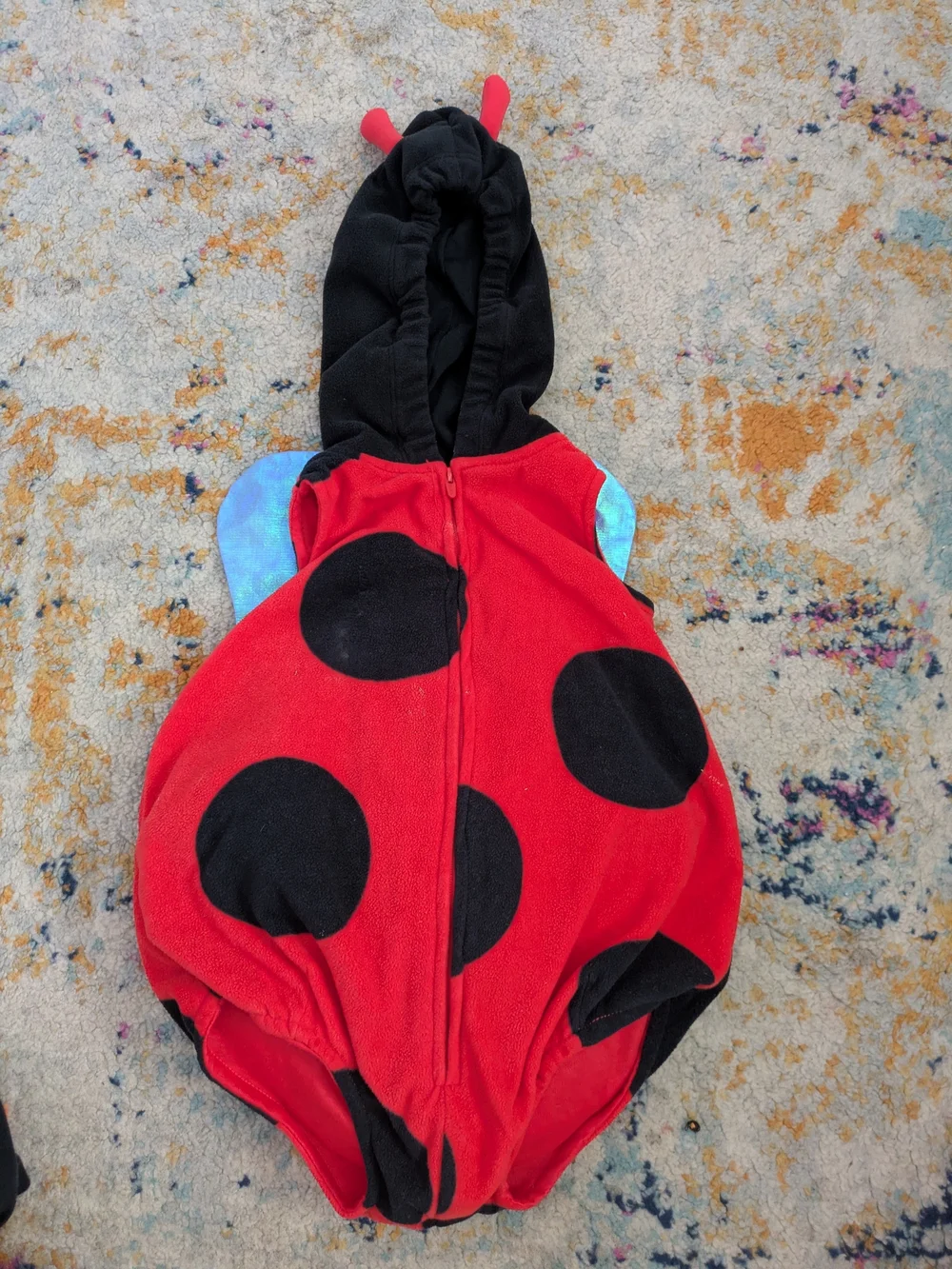 Carter's Ladybug Costume